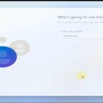 Windows 11 getsoftware